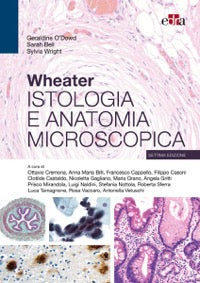 Wheater - Istologia e anatomia microscopica